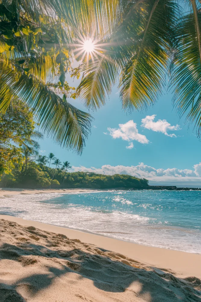 Hawaii Cruise